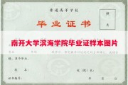 南开大学滨海学院毕业证样本图片