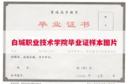 白城职业技术学院毕业证样本图片