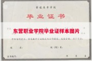 东营职业学院毕业证样本图片