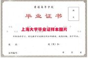 上海大学毕业证样本图片