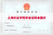 上海杉达学院毕业证样本图片