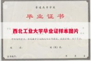 西北工业大学毕业证样本图片