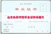 山东协和学院毕业证样本图片