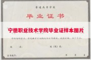 宁德职业技术学院毕业证样本图片