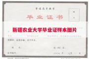 新疆农业大学毕业证样本图片