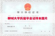 聊城大学历届毕业证样本图片