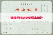 铜陵学院毕业证样本图片