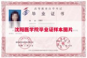 沈阳医学院毕业证样本图片