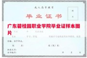 广东碧桂园职业学院毕业证样本图片