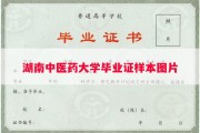 湖南中医药大学毕业证样本图片