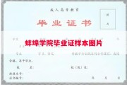 蚌埠学院毕业证样本图片