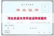 河北农业大学毕业证样本图片