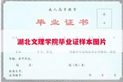 湖北文理学院毕业证样本图片