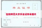 信阳师范大学毕业证样本图片