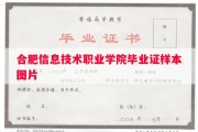 合肥信息技术职业学院毕业证样本图片