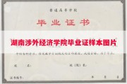 湖南涉外经济学院毕业证样本图片