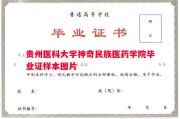 贵州医科大学神奇民族医药学院毕业证样本图片