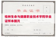 桂林生命与健康职业技术学院毕业证样本图片