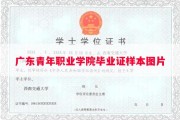 广东青年职业学院毕业证样本图片