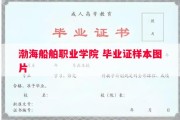 渤海船舶职业学院 毕业证样本图片
