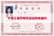 宁波工程学院毕业证样本图片