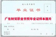 广东财贸职业学院毕业证样本图片