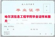 哈尔滨信息工程学院毕业证样本图片
