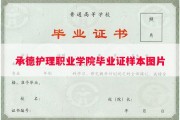 承德护理职业学院毕业证样本图片