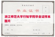 浙江师范大学行知学院毕业证样本图片