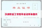 沙洲职业工学院毕业证样本图片