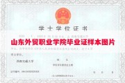 山东外贸职业学院毕业证样本图片