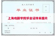 上海戏剧学院毕业证样本图片