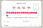 阿克苏职业技术学院毕业证样本图片