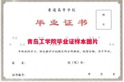 青岛工学院毕业证样本图片
