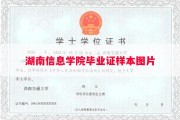 湖南信息学院毕业证样本图片