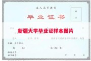 新疆大学毕业证样本图片