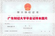 广东财经大学毕业证样本图片