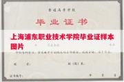上海浦东职业技术学院毕业证样本图片