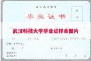 武汉科技大学毕业证样本图片