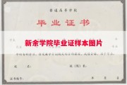 新余学院毕业证样本图片