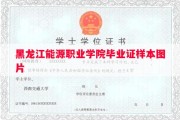 黑龙江能源职业学院毕业证样本图片