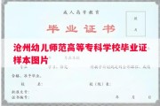 沧州幼儿师范高等专科学校毕业证样本图片