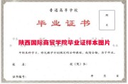 陕西国际商贸学院毕业证样本图片