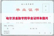 哈尔滨金融学院毕业证样本图片