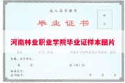 河南林业职业学院毕业证样本图片