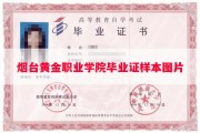烟台黄金职业学院毕业证样本图片