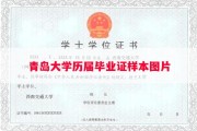青岛大学历届毕业证样本图片
