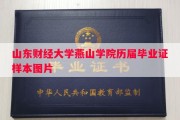 山东财经大学燕山学院历届毕业证样本图片