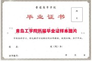 青岛工学院历届毕业证样本图片