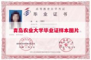 青岛农业大学毕业证样本图片